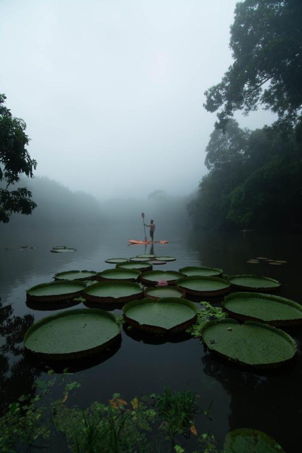 Los Chocuacos. Guácimo Buitenkant foto