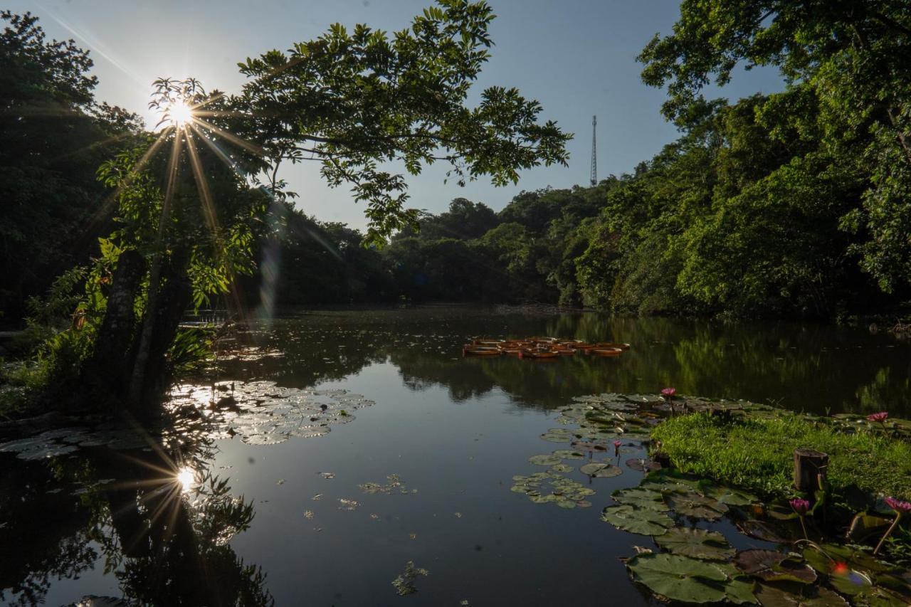 Los Chocuacos. Guácimo Buitenkant foto
